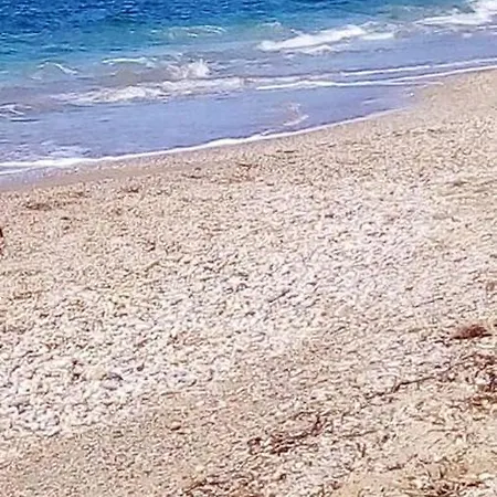 Appartement De 2 Chambres A Le Pradet A 700 M De La Plage Avec Balcon Amenage Et Wifi Lejlighed Le Pradet